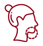 Orbicularis Oris Muscle